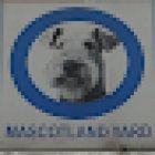 Clinica Veterinaria Mascotland Yard