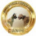 CENTRO VETERINARIO ANPE