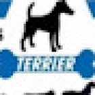 Clinica Veterinaria Terrier