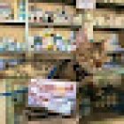 Zoomedic Clinica Veterinaria