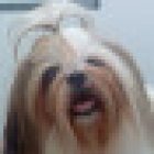 Clínica Veterinaria VETZOO SHERET