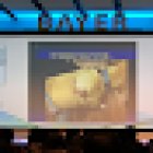 Clinica Veterinaria Royal Pets