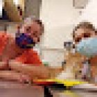 Veterinaria Amor a tu mascota