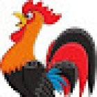 Veterinaria El Gallo