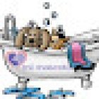 Vetintegral Suc. Xochimilco