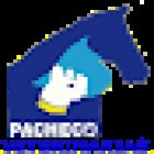 Veterinaria Pacheco