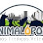 Animalopolis Huejotzingo