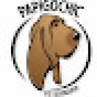 Veterinaria Papigochic