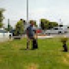 Escuela de adiestramiento junior's