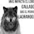 VETERINARIO 24 HRS DR.CHAIDEZ - Cremación De Mascotas