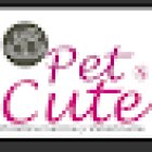 Veterinario y Estética canina a domicilio PetCute