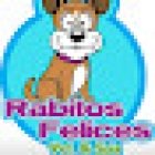 Veterinaria Rabitos Felices