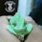 Servicios veterinarios Itzamná Mundo Animal