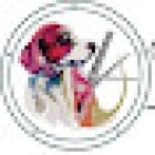 Can Veterinary Boutique