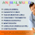 CLINICA VETERINARIA ANIMAL MUNDI