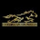 Servicios Veterinarios para Equinos