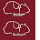 Clínica Veterinaria Don Quijote