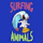 Surfing Animals | Veterinario & Peluqueria canina en Benidorm | Veterinary Benidorm | Ветеринарная клиника в Бенидорме