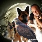 Clínica Veterinaria Sierra Blanca