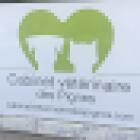 CABINET VETERINAIRE DES PIGNES - Uniquement sur Rendez-Vous - Urgence Joignable 7/7J - Examen Clinique Complet Nice 06