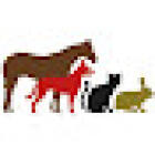 Animed Veterinary Hospital