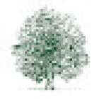 Oakfield Veterinary Group - Castle Bromwich