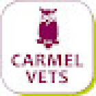 Carmel Vets, Penn Fields