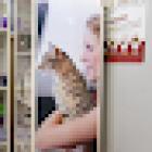 Ambulatorio Veterinario 