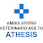 Veterinary Surgery Associate ATHESIS