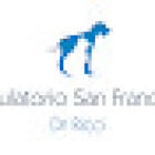 Surgery Veterinarian Dr. San Francesco. Ricci