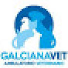 Surgery Veterinarian Galciana