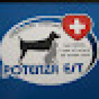 Ambulatorio Veterinario Potenza Est