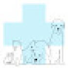 Clinica Veterinaria Battelli
