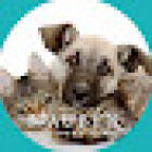 St Aubyn Veterinary Clinic