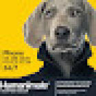 Humanimals