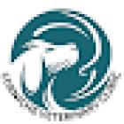 Corniche Veterinary Clinic