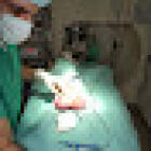 Clínica Veterinária de Alcântara