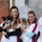 Dierenkliniek Nesselande