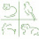 Animal Hospital Groningen