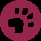 Veterinary Clinic St. Anna 404