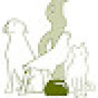 Veterinarian Van der Sluis ואן דר סלוס תרופות