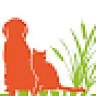 Dierenartsenpraktijk Nieuwkoop Noorden