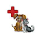 Tullamore Pet Hospital