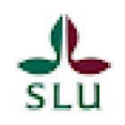 SLU Universitetsdjursjukhuset (UDS), smådjurskliniken