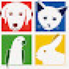 Vets of Geelong - Highton