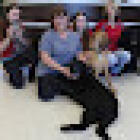 Adeline Animal Hospital