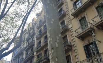 ÀREA Grup Immobiliari.