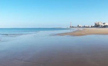 CDE REAL ESTATE AGENCY