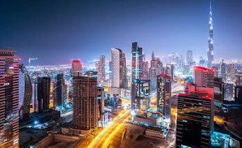 Maple Tree Real Estate