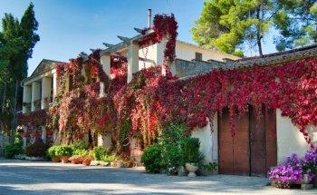 Inmobiliaria-Real Estate Agency I-LEVANTE